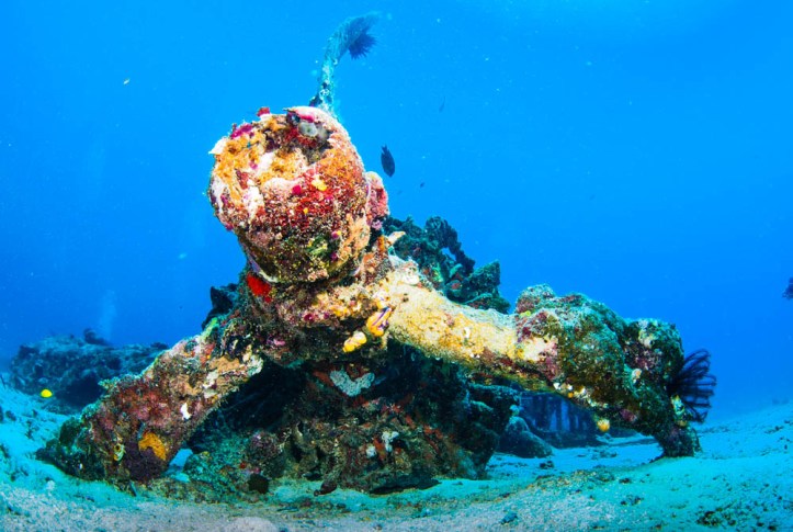 One of the Wasp engines lies on the seabed