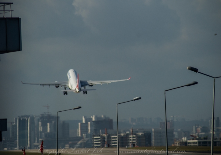 Is Turkish taking off or holding steady?