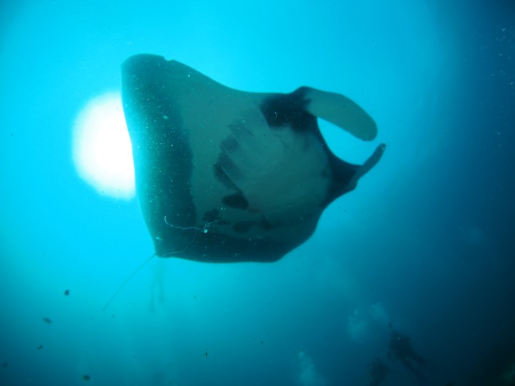 african Oriental (120 of 280).jpg